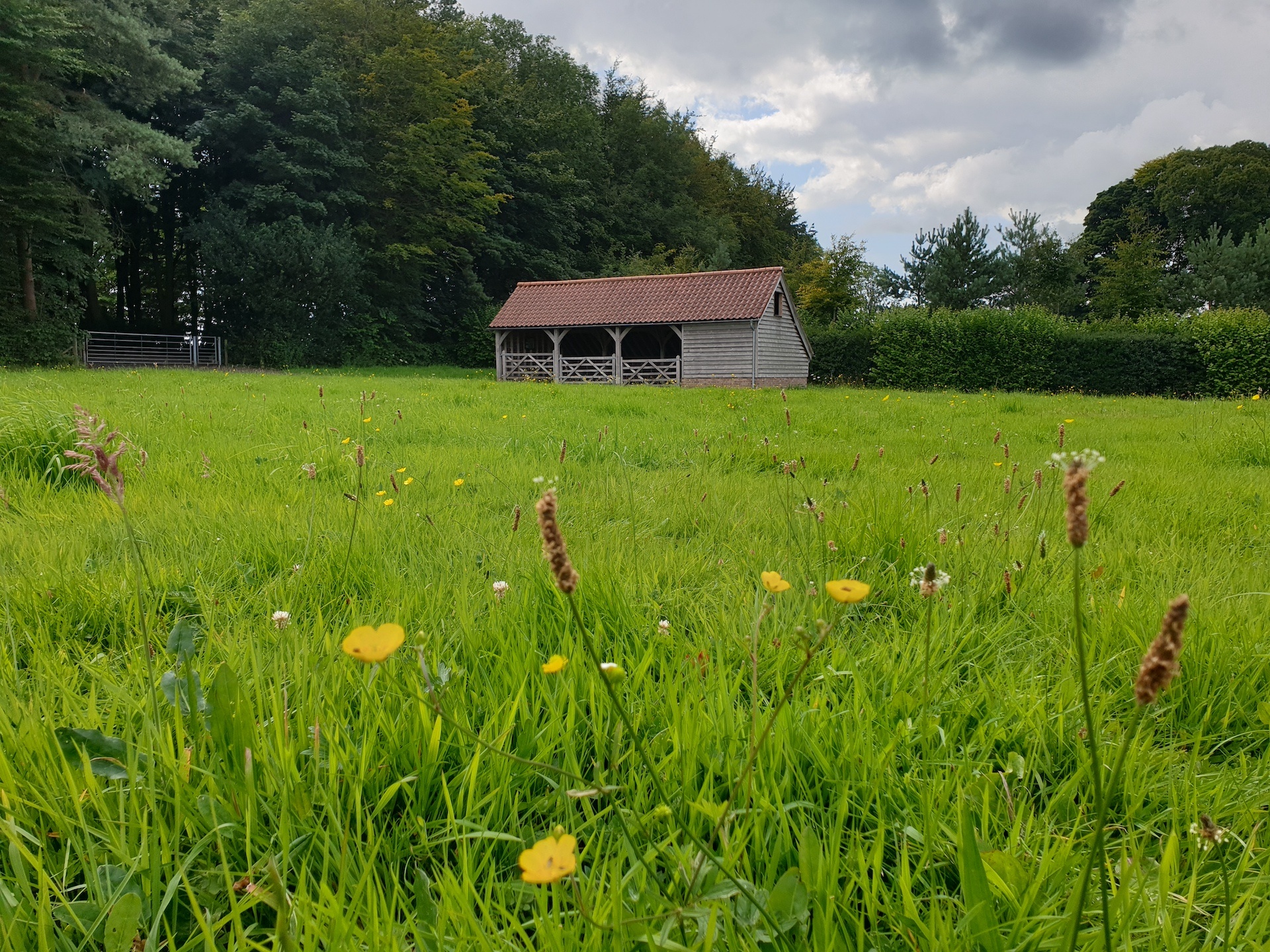 Cardiff and The Vale Natural Burial Meadow Leedam Natural Burials