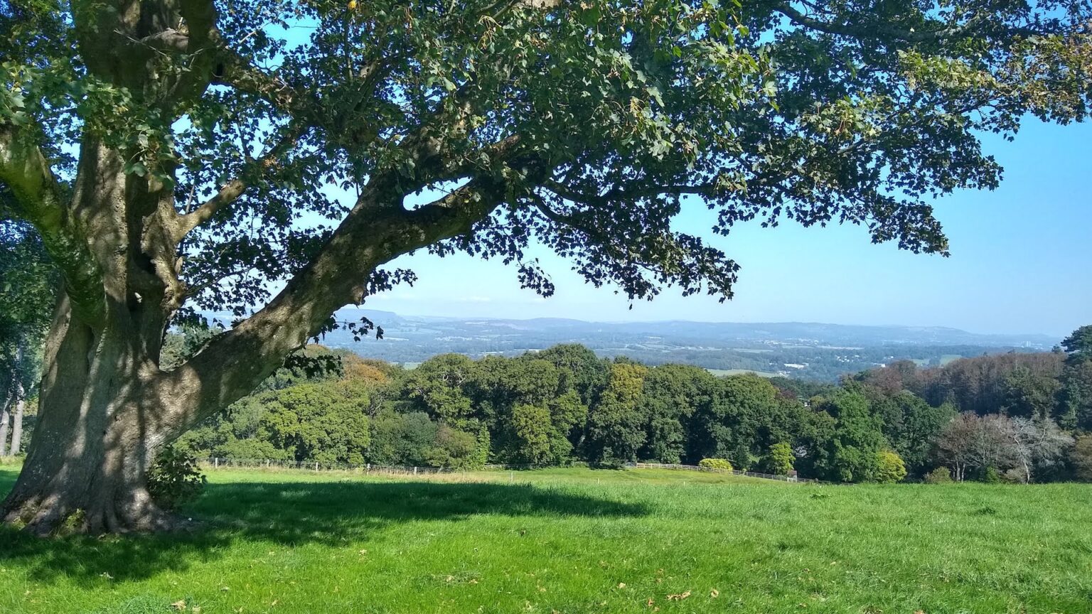 Cardiff and The Vale Natural Burial Meadow Leedam Natural Burials