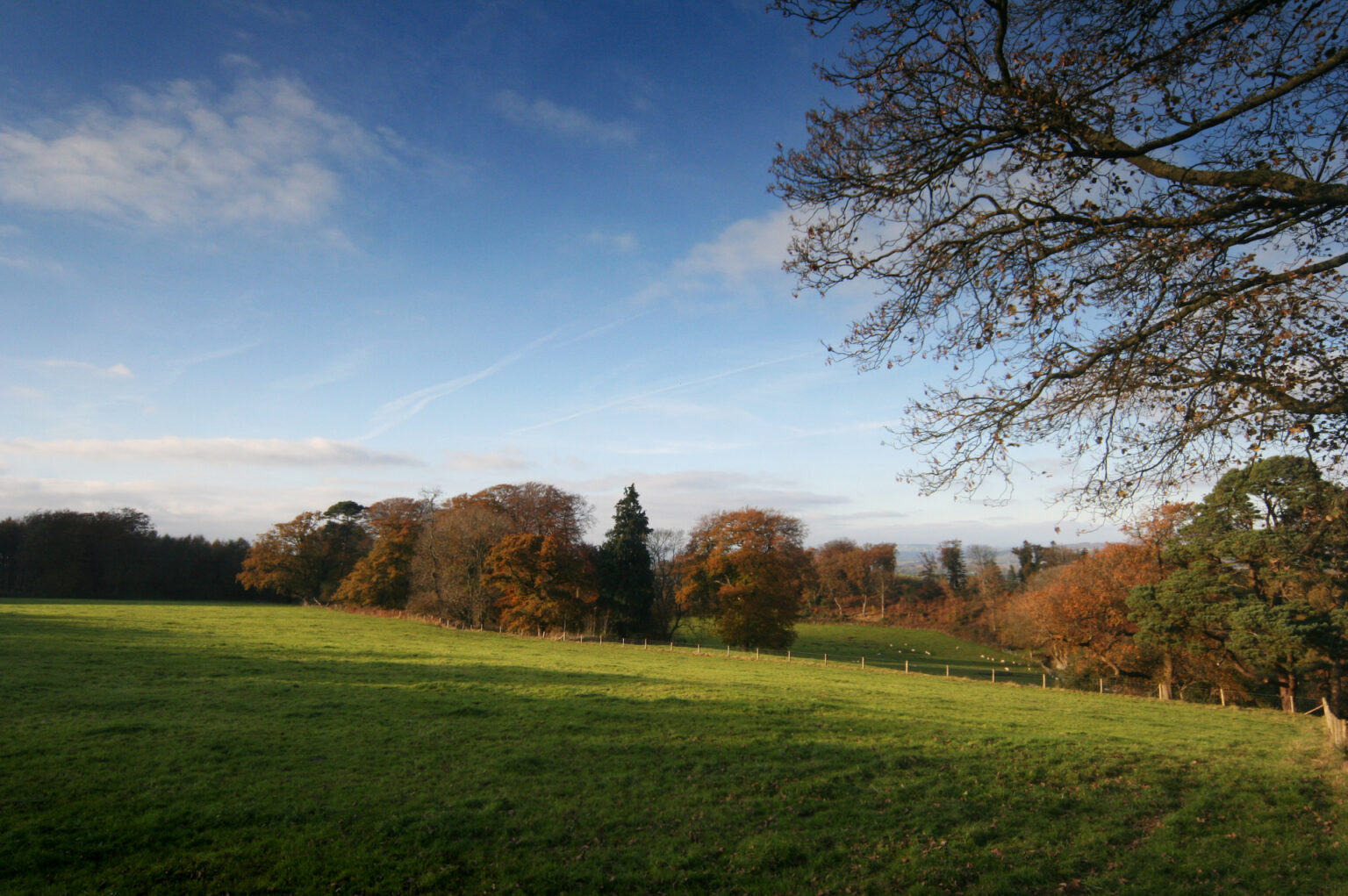 Cardiff and The Vale Natural Burial Meadow Leedam Natural Burials