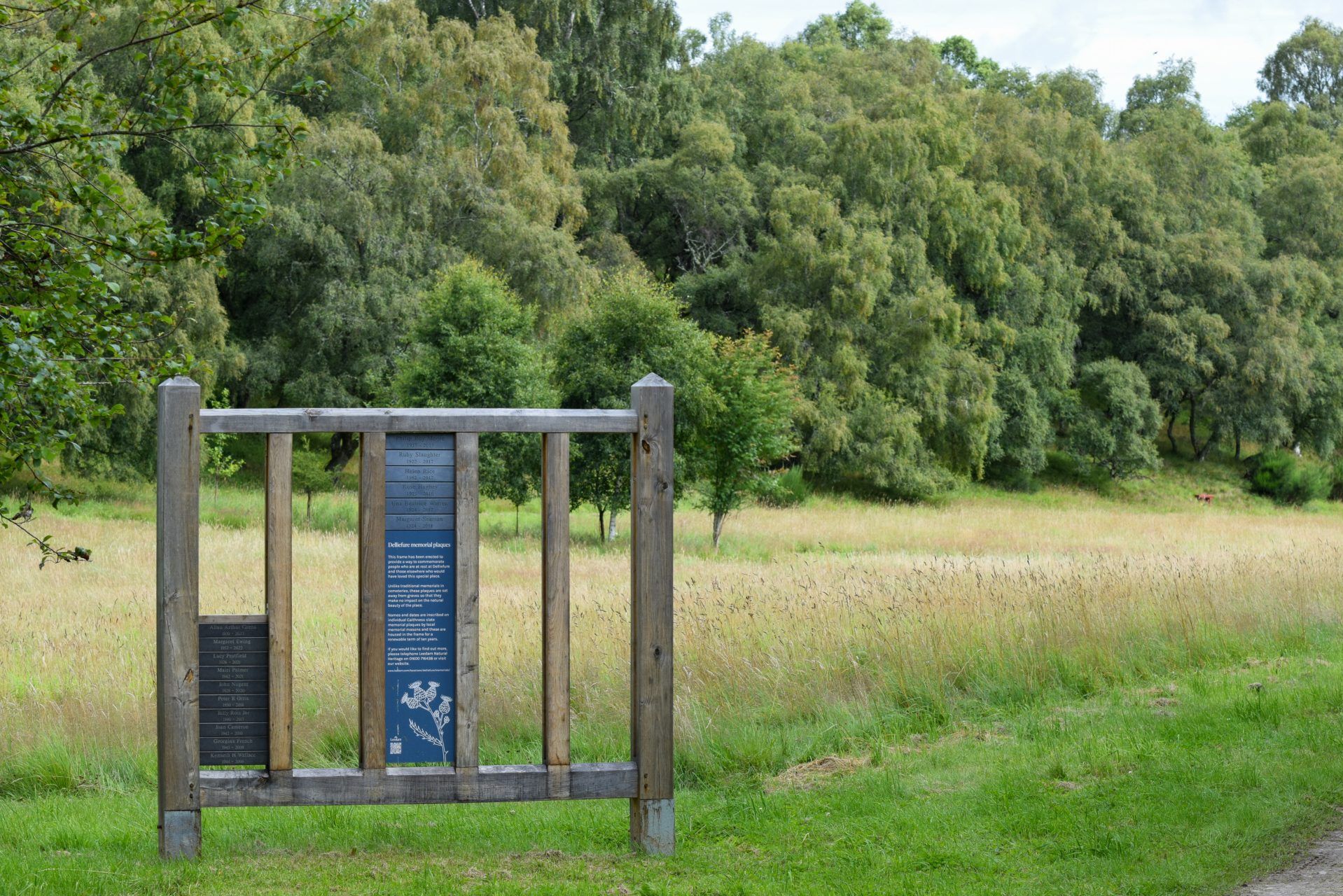 A memorial panel in the meadow, with slate plaques dedicated to people buried at Delliefure natural burial ground.
