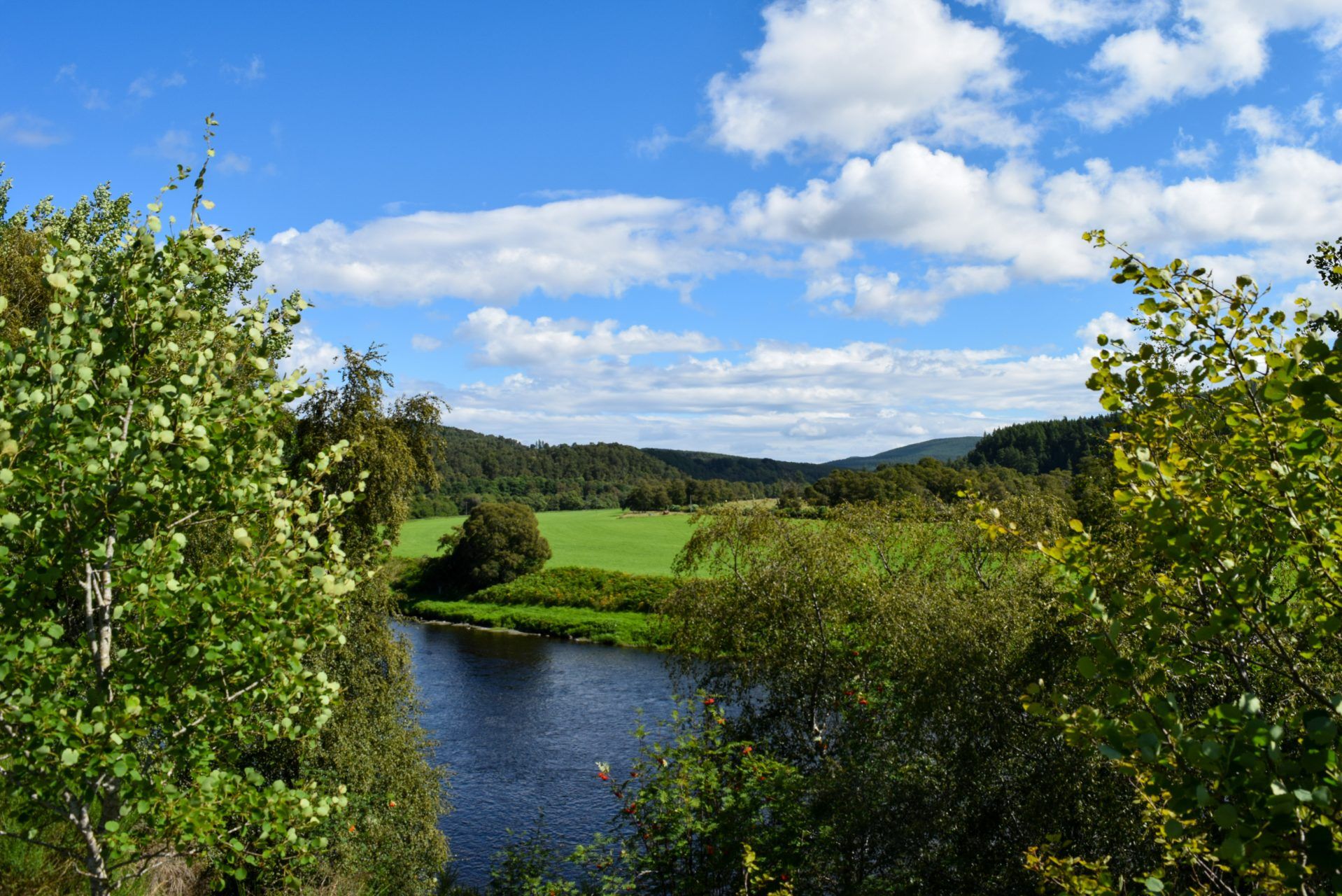 A view from Delliefure natural burial ground over the Spey River in August 2023
