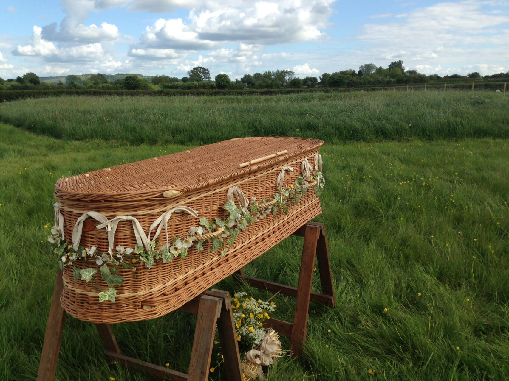 A locally sourced wicker coffin, decorated with ivy, sitting in the Aylesbury Vale natural burial meadow, which has long green grass and trees in the distance.