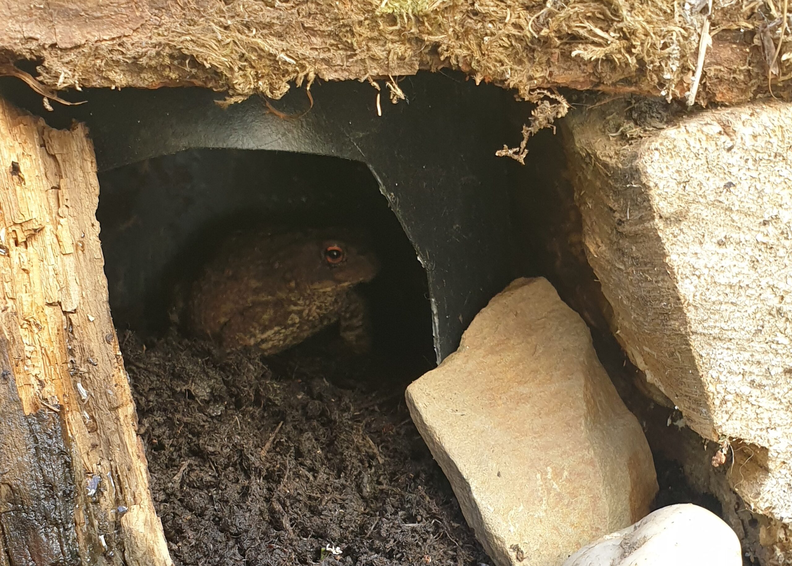 How to make a toad house Leedam Natural Burials