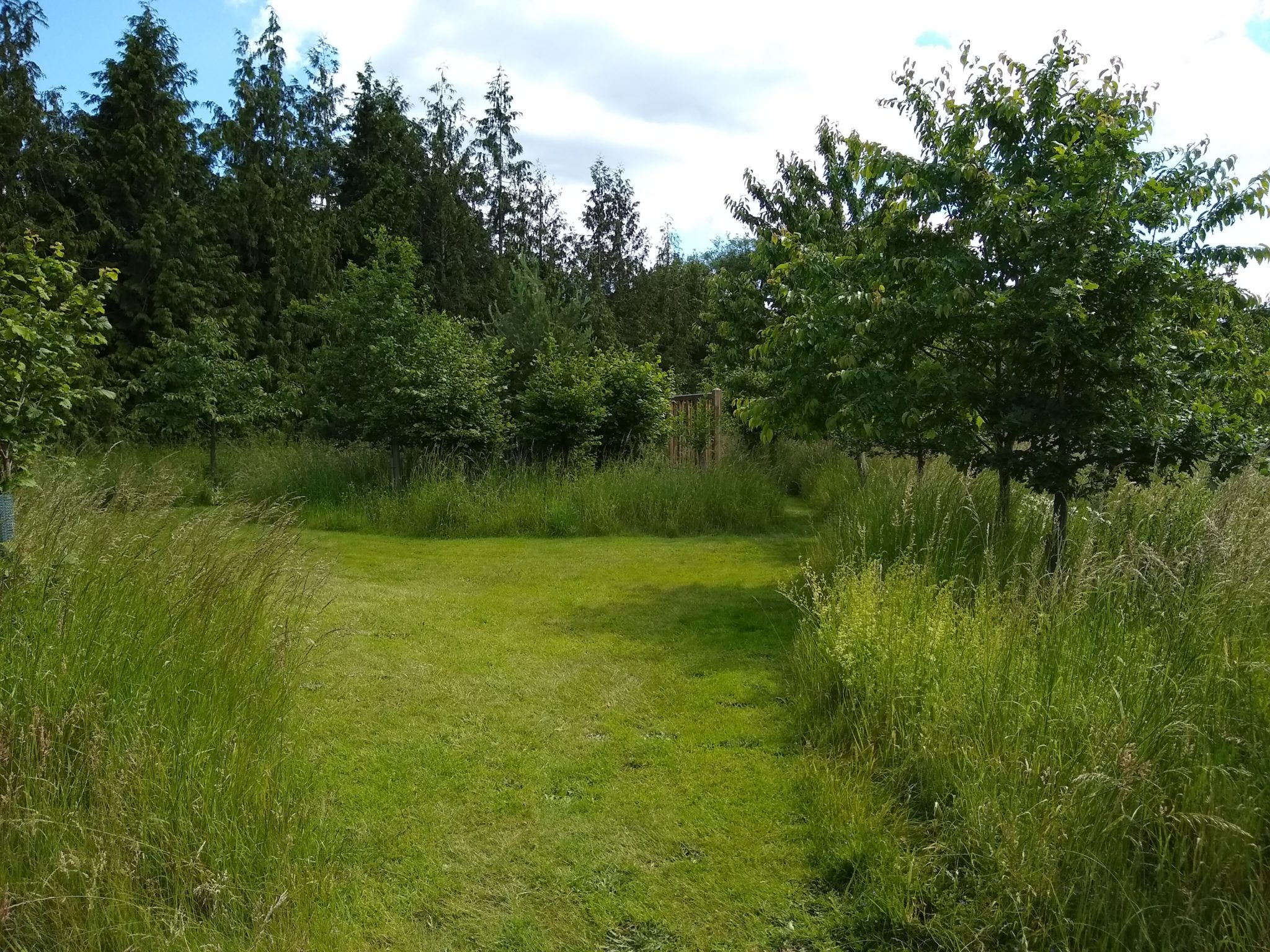 HenleyOnThames Natural Burial Ground Leedam Natural Burials