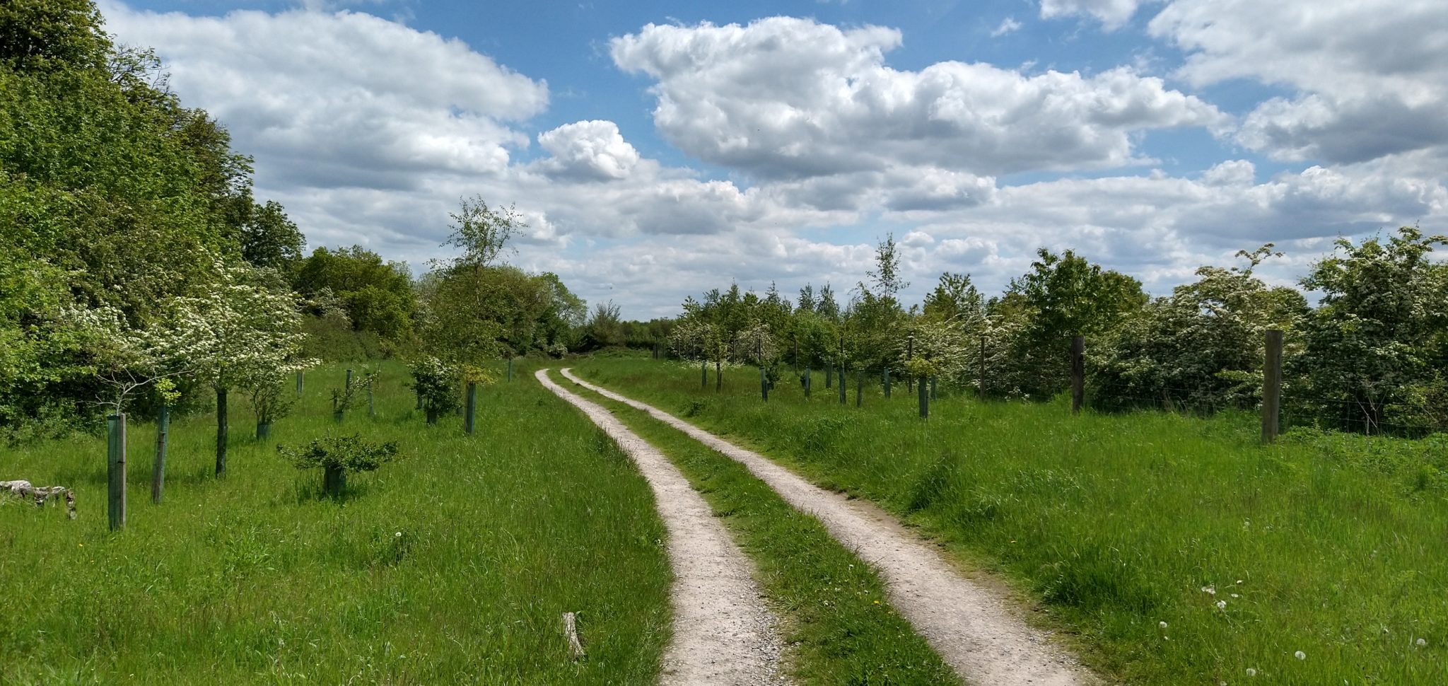 HenleyOnThames Natural Burial Ground Leedam Natural Burials