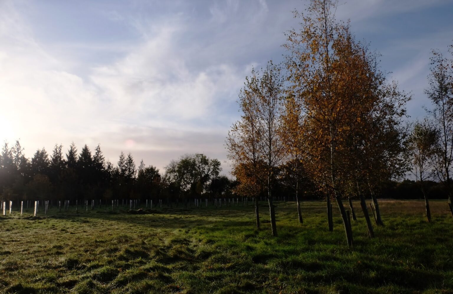 HenleyOnThames Natural Burial Ground Leedam Natural Burials