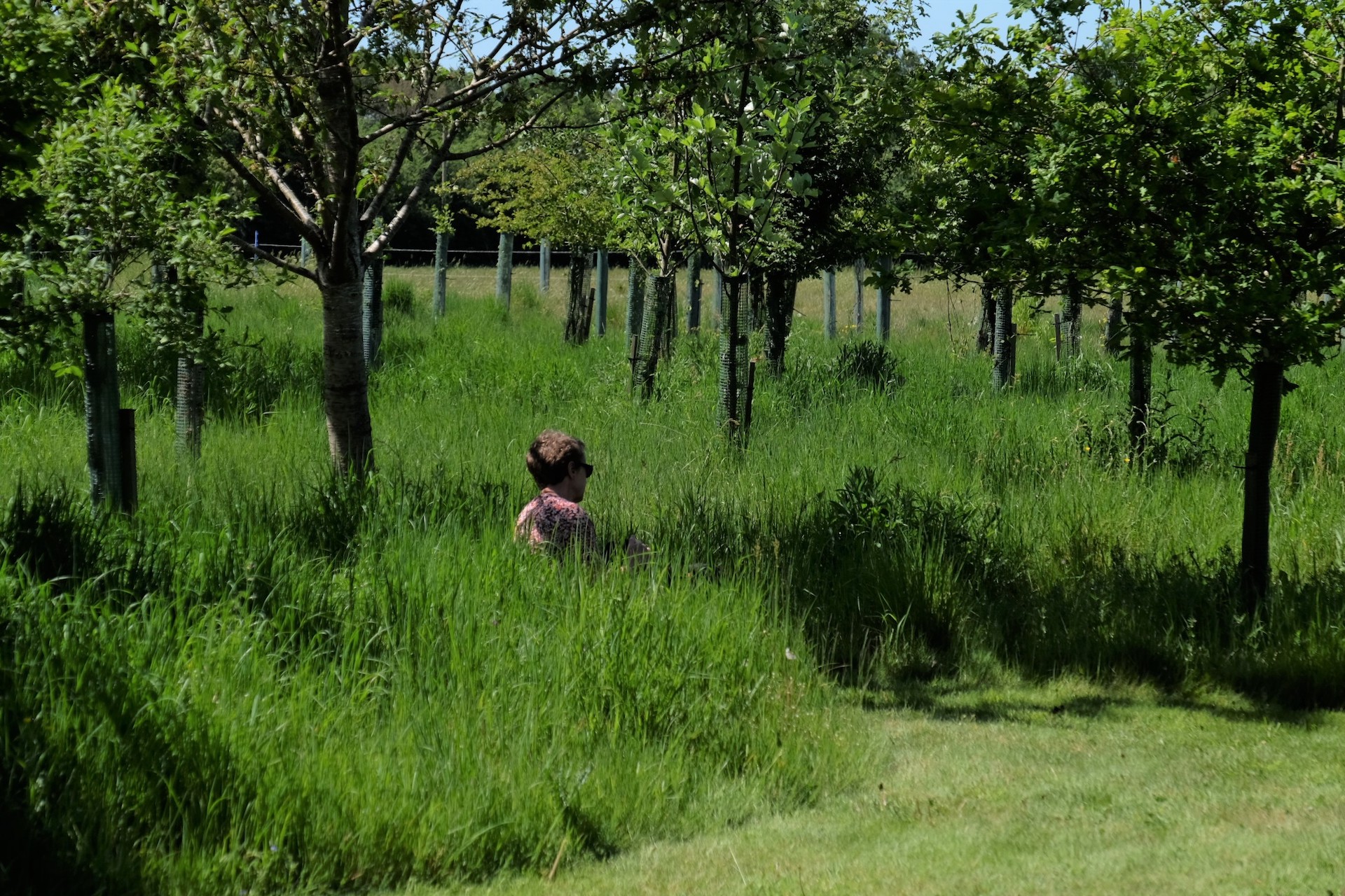 HenleyOnThames Natural Burial Ground Leedam Natural Burials