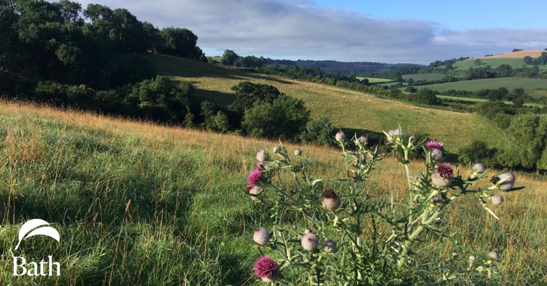 Catching up on 2021 with Bath Natural Burial Meadow