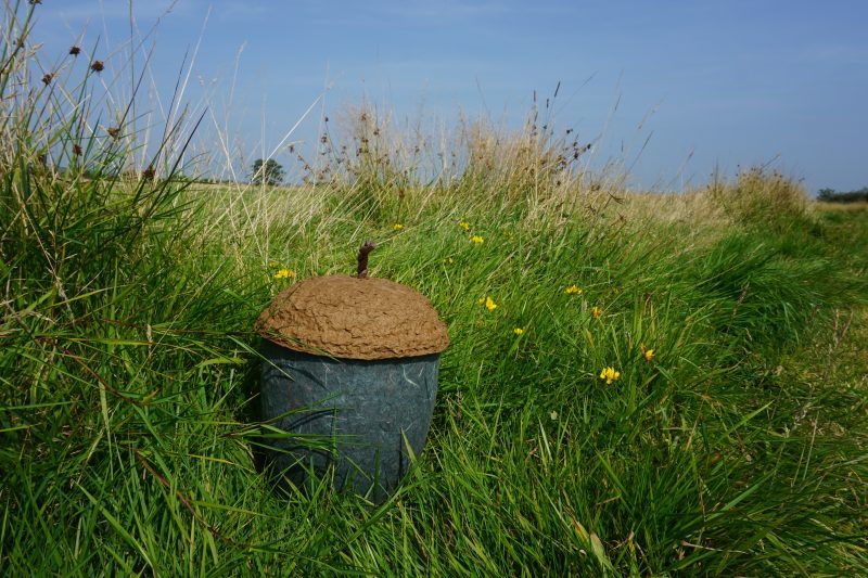 Biodegradable acorn urn
